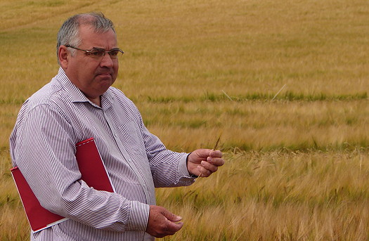 Mark Glew of Limagrain UK.