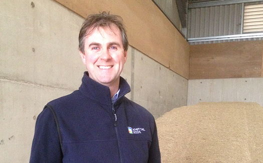 Phillip Whittal is managing director of Whittall Seeds.