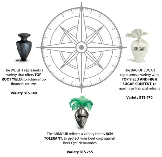 Betaseed has designed innovative branding to help growers to identify the right variety for specific farm or market requirements. These symbols will be present on the packaging of the new varieties coming to market for sowing in spring 2016.