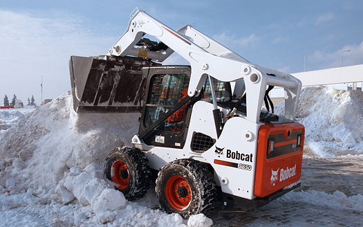 1510-Bobcat_snow_A