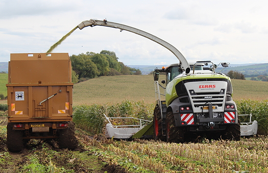 1610-claas_jaguar_970_b