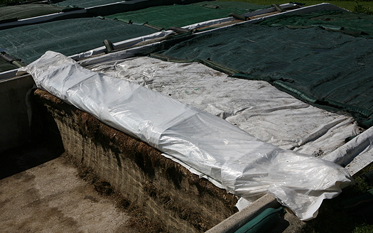 The Wicky unit rolls up the silage clamp sheet from the inside. 