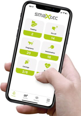 The smaXtec app monitors the herd via a user friendly dashboard