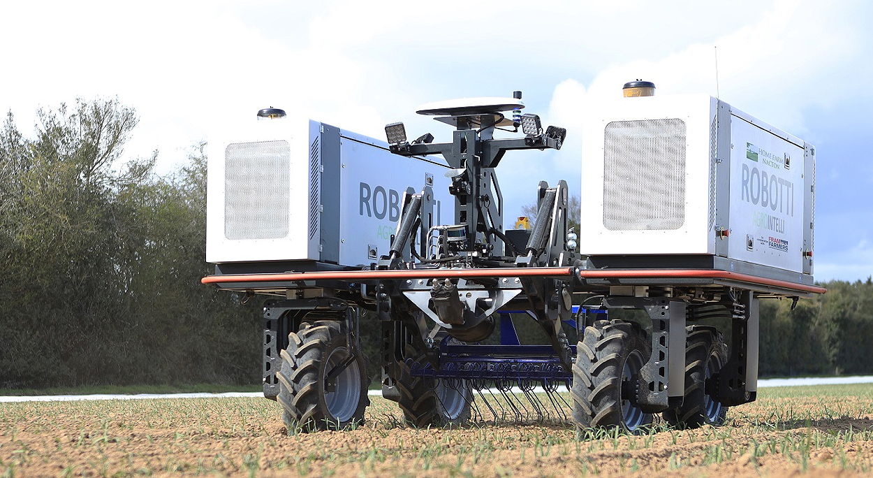 The Home Farm Robotti has been weeding a variety of crops with its harrow attachment.