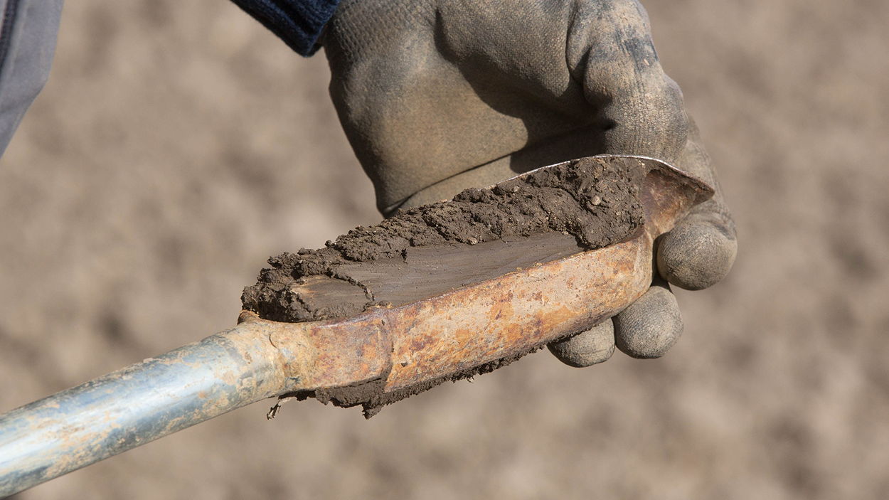 Soil sampling can help identify problem soils