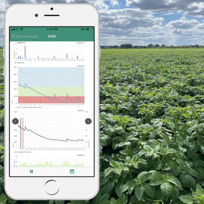 Data from the sensors is uploaded to the cloud, from where it can be accessed via an app