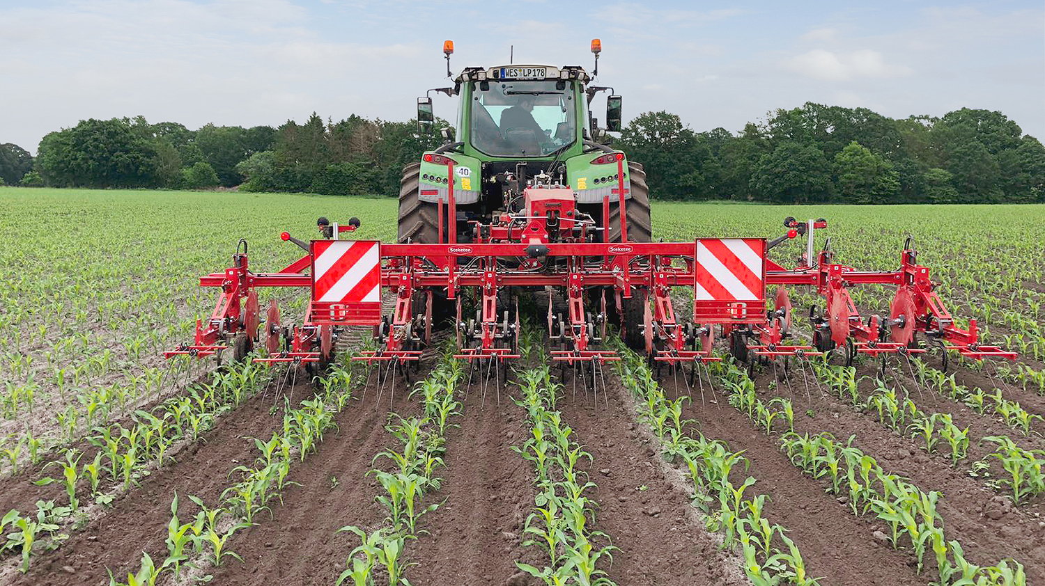 A Steketee EC-Weeder carrying out mechanical weed control with maize DeltaRows