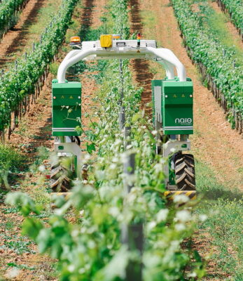 Naïo Technologies' Ted robot will be certified for autonomous working in vineyards from Spring 2022