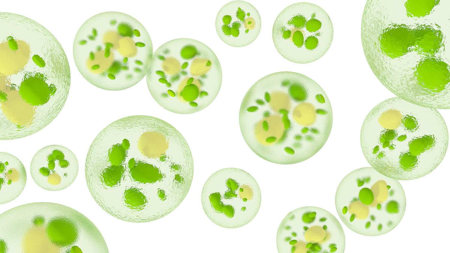 Anpario's Optomega microalgae