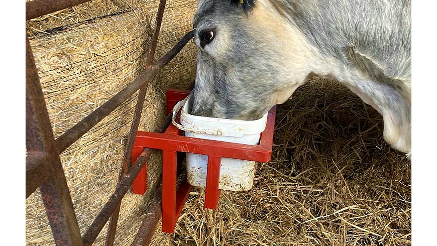 MG Hudson manufactures mineral block holders that keep these valuable supplements away from badgers