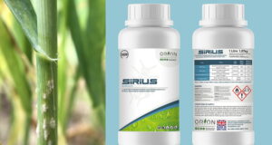 Using a silicon biostimulants like Orion FT's Sirius boosts the genetic potential of plants by strengthening cells, enhancing cuticle thickness and increasing leaf hair length that makes the crop more resilient to pests and disease