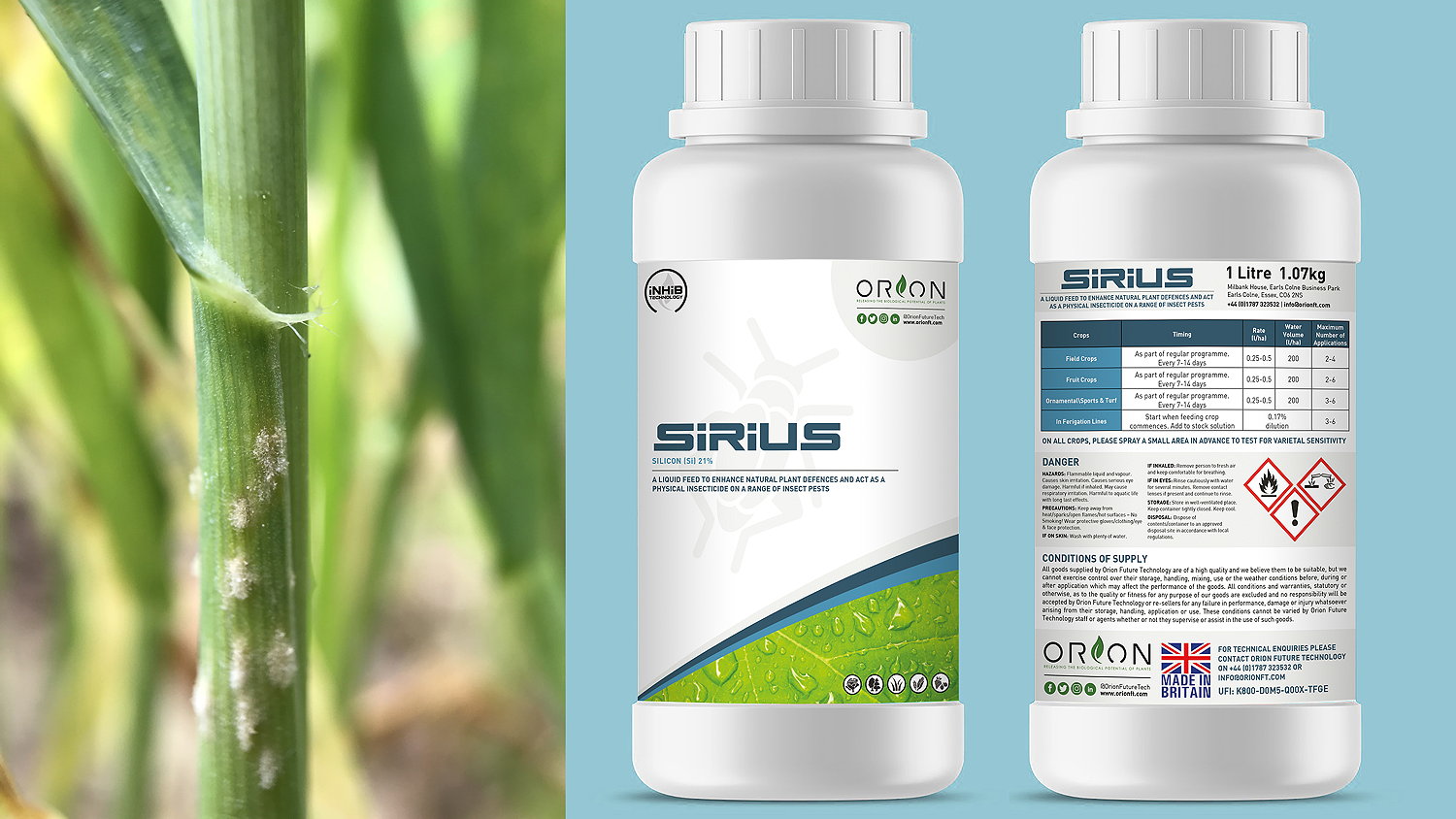 Using a silicon biostimulants like Orion FT's Sirius boosts the genetic potential of plants by strengthening cells, enhancing cuticle thickness and increasing leaf hair length that makes the crop more resilient to pests and disease