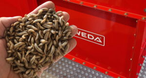 Weda Dammann & Westerkamp has supplied a complete insect feeding system to HiProMine.