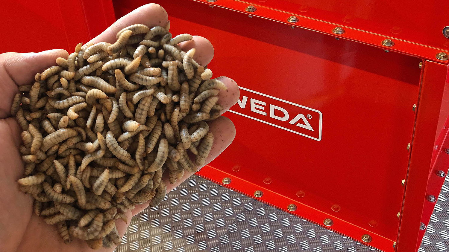 Weda Dammann & Westerkamp has supplied a complete insect feeding system to HiProMine.