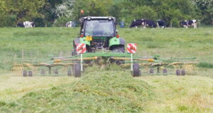 A few key agronomy practices can help maximise forage output from grassland