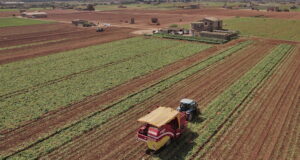 HarvestEye has been trialling its potato crop analysis technology on the Spanish Island of Mallorca.