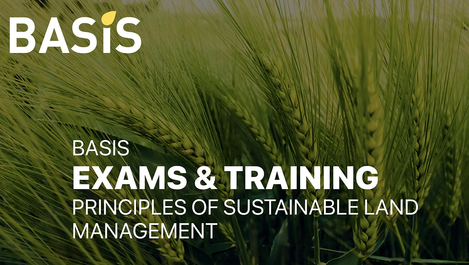 Basis has launched a new online PSLM course.