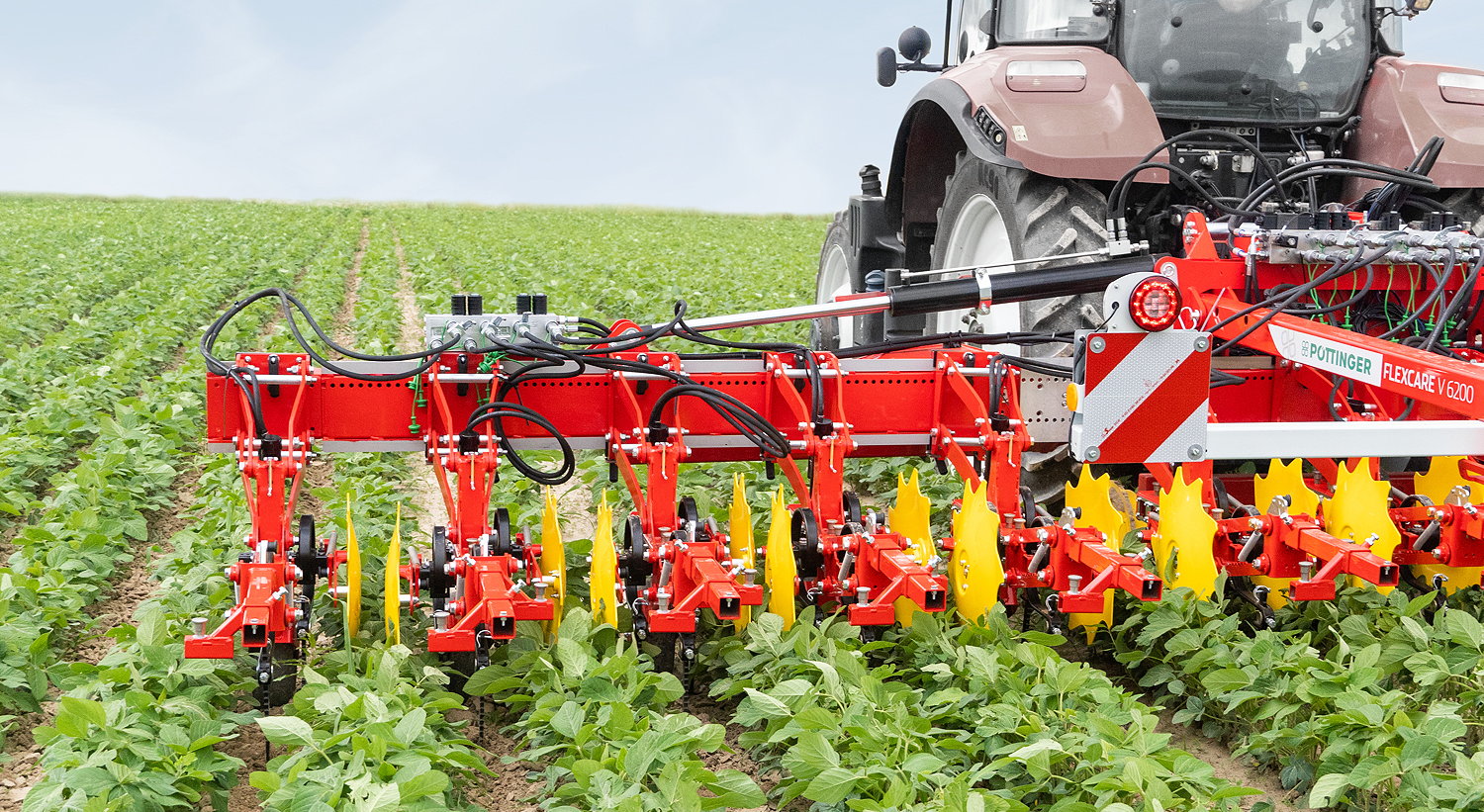 Advanced-growth crops can be weeded easily using Pöttinger's Flexcare row crop cultivator.