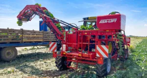 Grimme's new PO-335-SG Spring Greens Harvester will be available to UK growers from 2023.