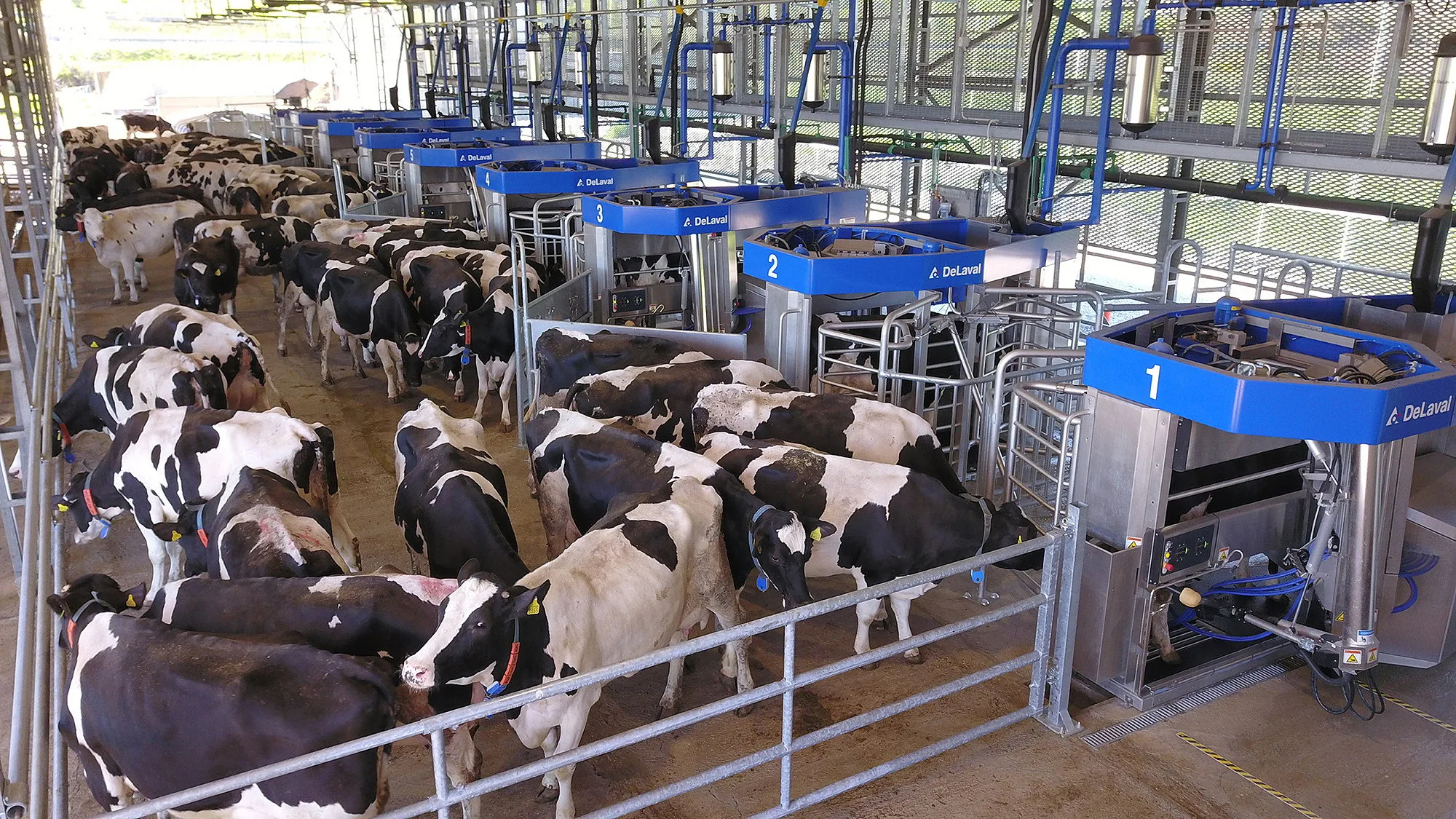 DeLaval's VMS automated milking system is the result of thousands of hours of development focused on finding ways to help dairy farmers deliver more, better-quality milk from healthier cows.