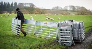 Wise Agriculture is now sole UK distributor for the Landquip's New Zealand-made Porta-Yards range of sheep-handling equipment.