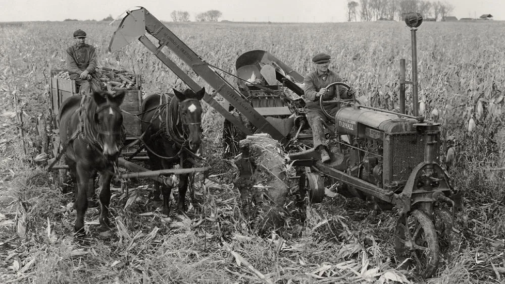 An early McCormick-Deering Farmall Regular harvesting corn alongside the more conventional horsepower of the time.