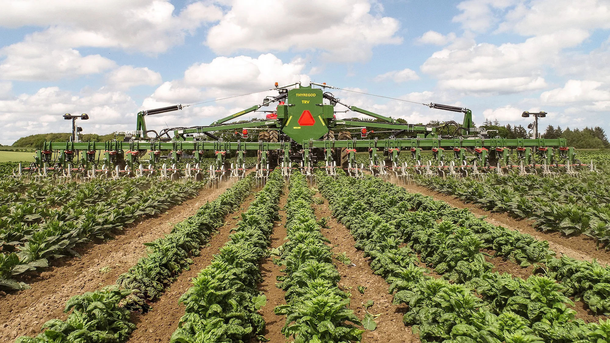 Väderstad will take over production of the Thyregod's inter-row cultivator range that includes the TRV Swingking.