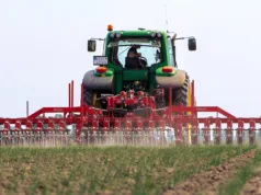 The improved IC-Light+ camera control system used on Lemken Steketee weeding hoes can now detect weeds in crops with hues of blue in their leaves.