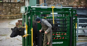 Canada's Arrowquip produces the Q-Catch and Q-Power cattle crush ranges, along with a suite of fixed and mobile cattle handling products.