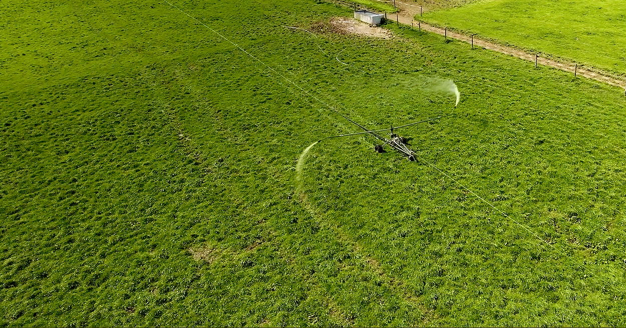 Origin Digital and Aspia Space have announced a world-first technology that accurately measures the height of grass from space, offering new insight for increasing farm productivity and verifying sustainability practices.