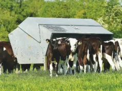 Advantage Feeders are now supplied by Wise Agriculture throughout England, Scotland and Wales.