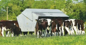 Advantage Feeders are now supplied by Wise Agriculture throughout England, Scotland and Wales.