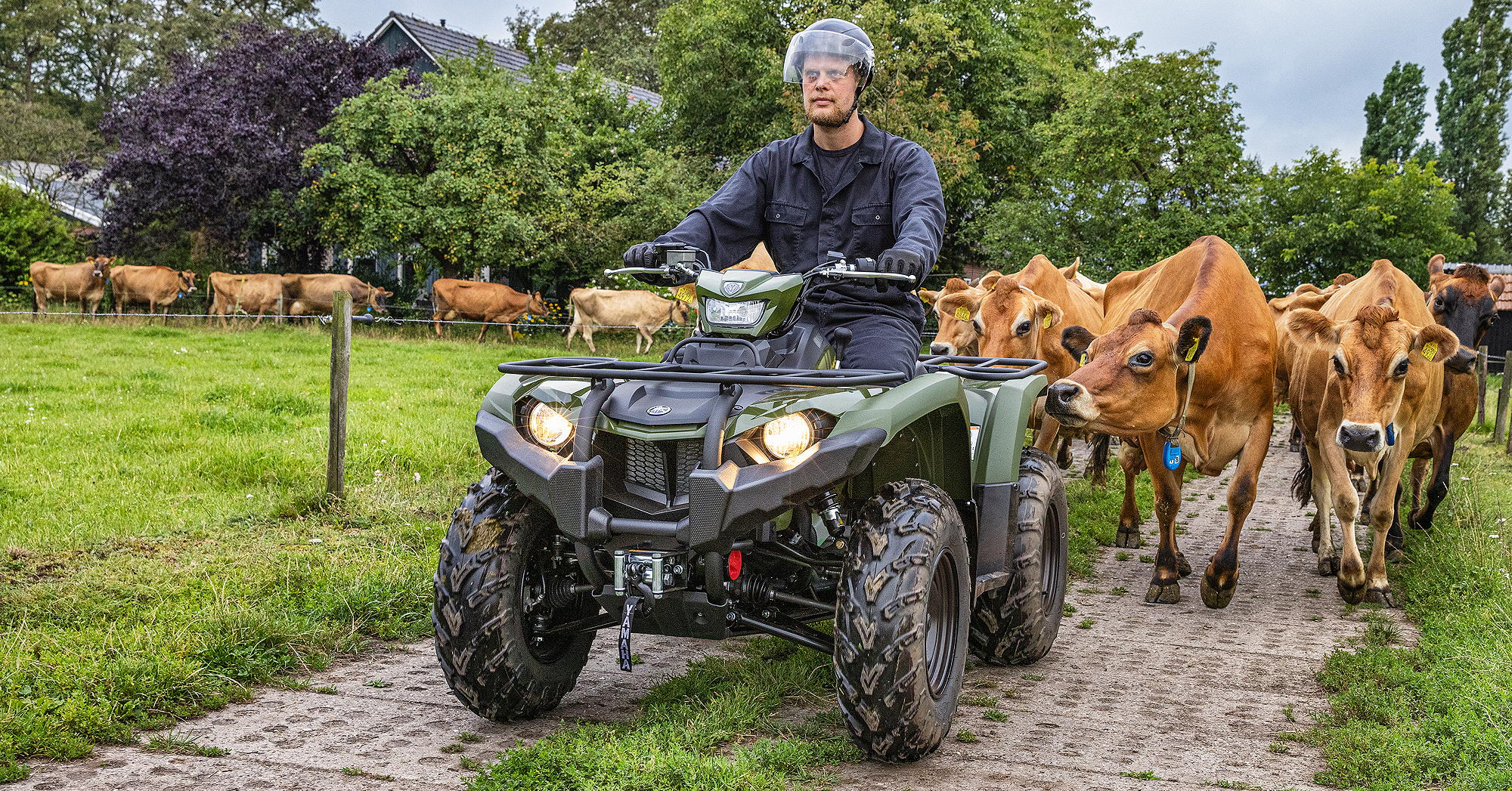 Yamaha's 2024 YFM450 Kodiak EPS quadbike.